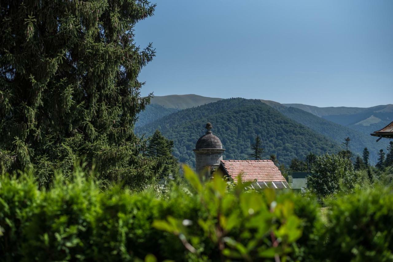 Uphill Residence Sinaia Extérieur photo